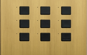 Lutron Large-Button Keypads
